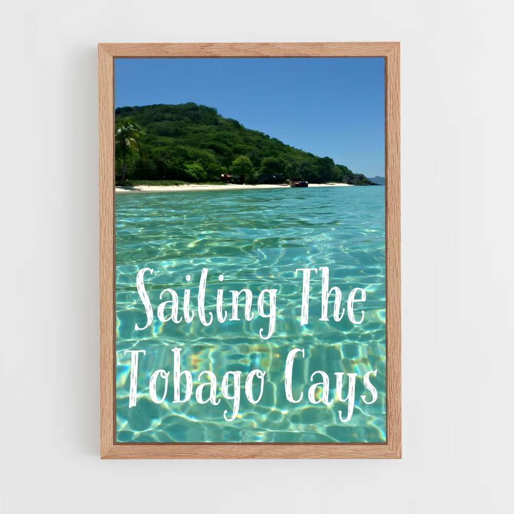 ap-tobago cays marine park-5 cadre Bois clair