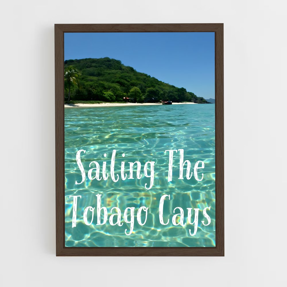 ap-tobago cays marine park-5 cadre Bois foncé