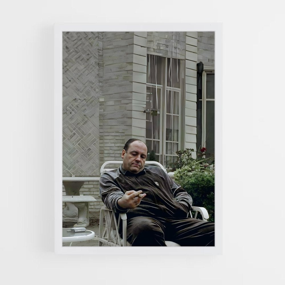ap-tony soprano-1 cadre Blanc