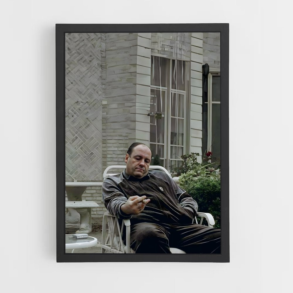 ap-tony soprano-1 cadre Noir