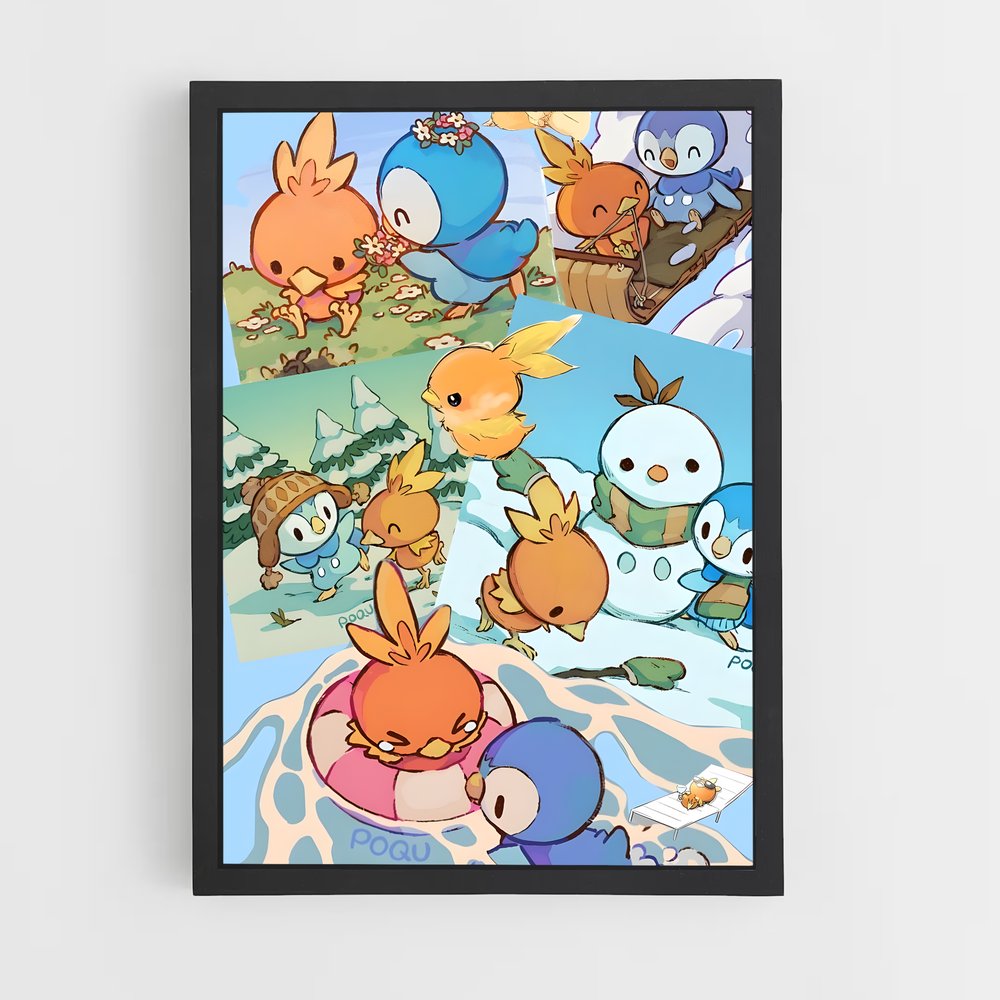 ap-torchic-3 cadre Noir