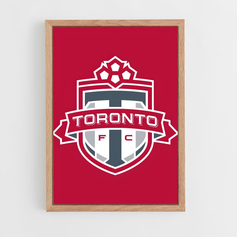 ap-toronto fc-5 cadre Bois clair
