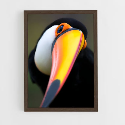 ap-toucan-7 cadre Bois foncé
