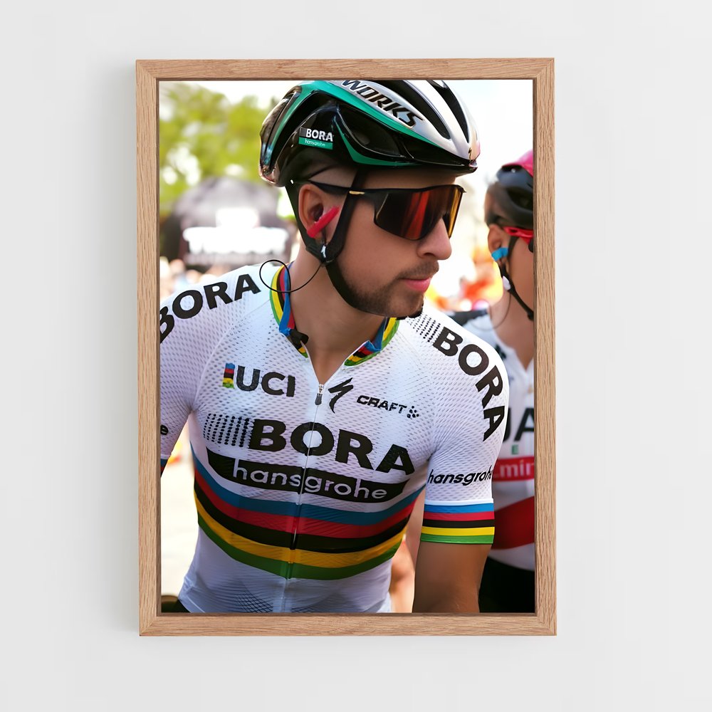 ap-tour de pologne-6 cadre Bois clair