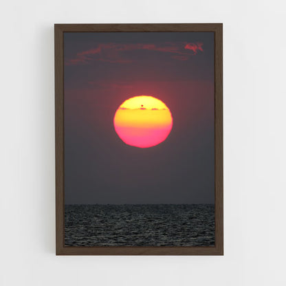 ap-transit of venus-1 cadre Bois foncé