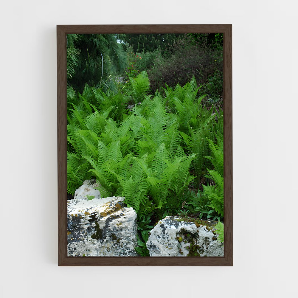 ap-tree fern-3 cadre Bois foncé