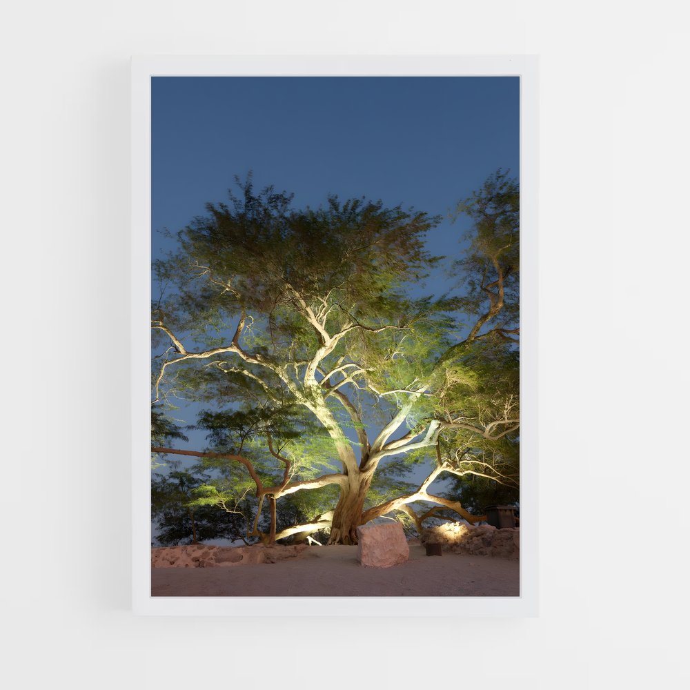ap-tree of life-9 cadre Blanc