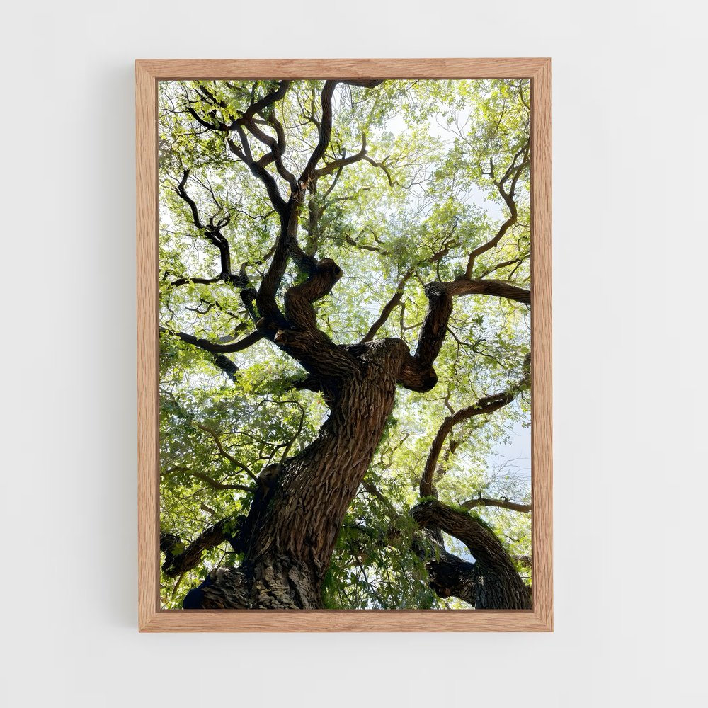 ap-trees-4 cadre Bois clair