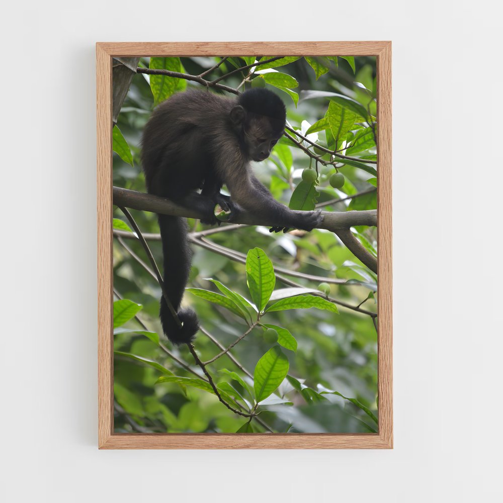ap-tresor nature reserve-1 cadre Bois clair