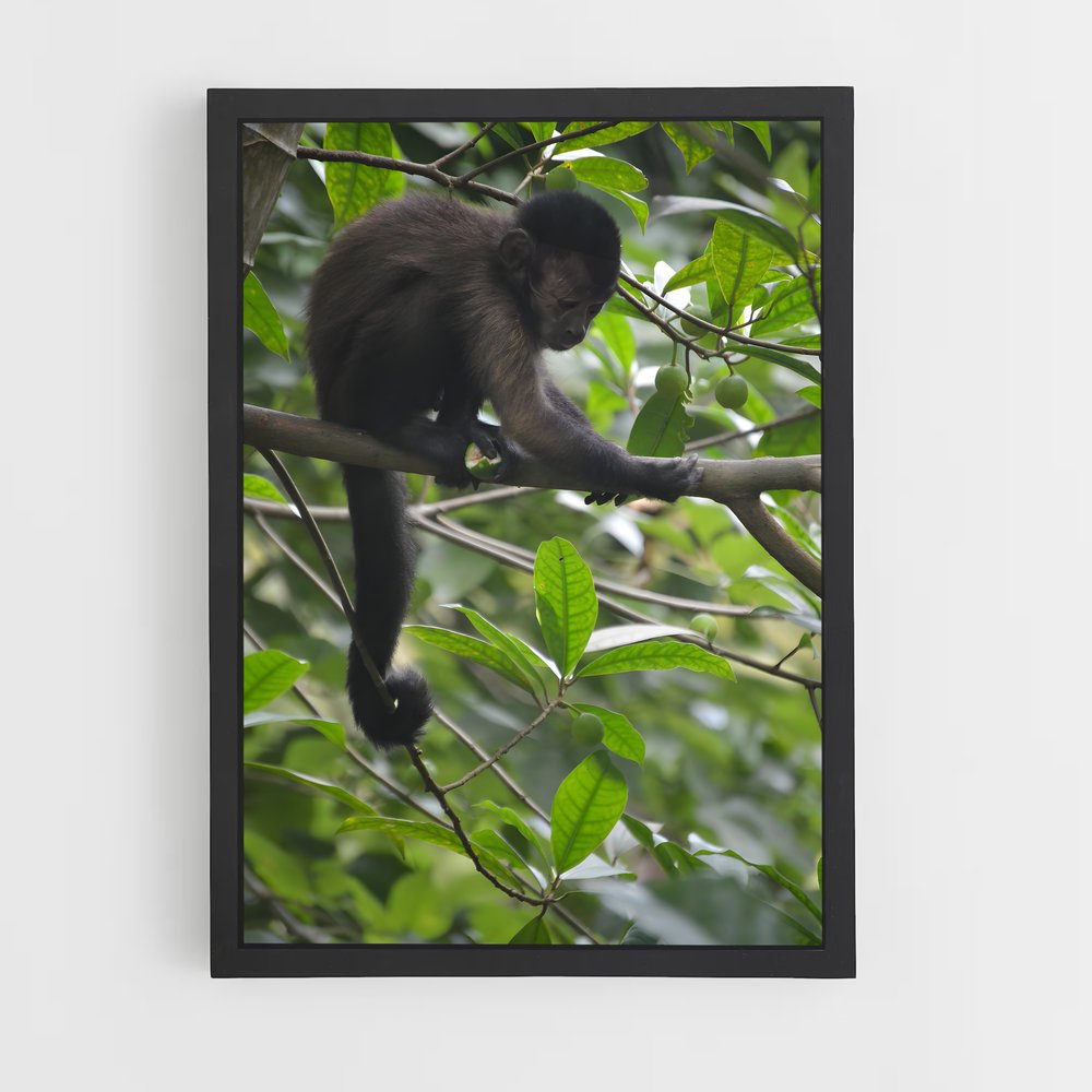 ap-tresor nature reserve-1 cadre Noir