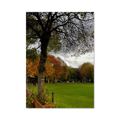 Poster Sous l'Arbre du Trinity