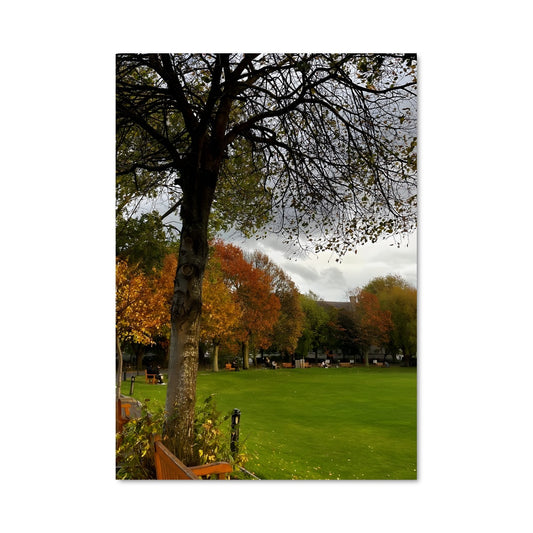 Poster Sous l'Arbre du Trinity