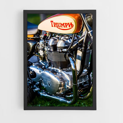 ap-triumph-2 cadre Noir