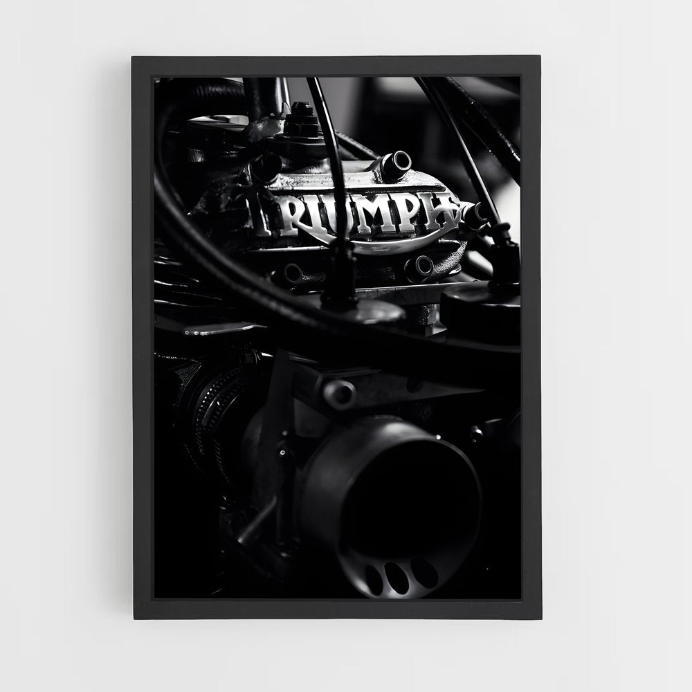 ap-triumph-4 cadre Noir