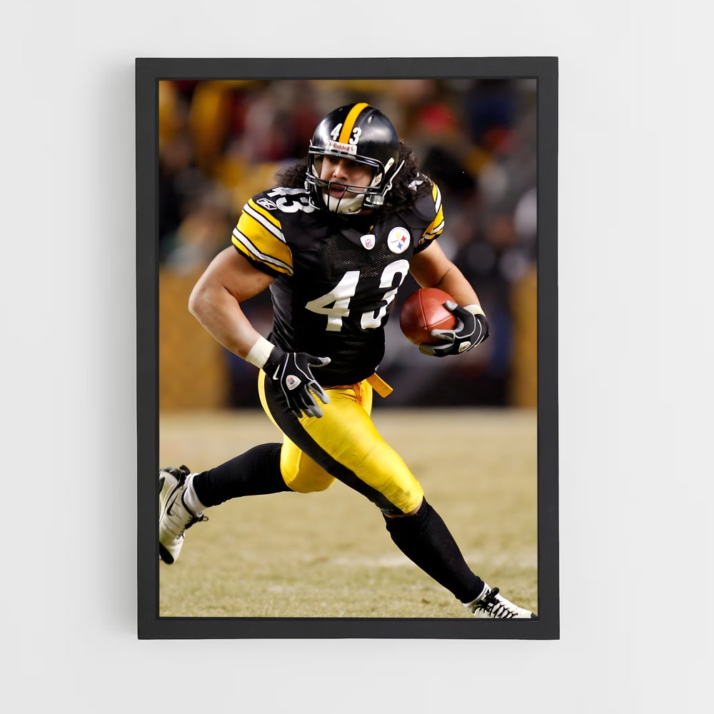 ap-troy polamalu-7 cadre Noir