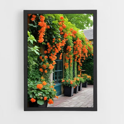ap-trumpet vine-2 cadre Noir