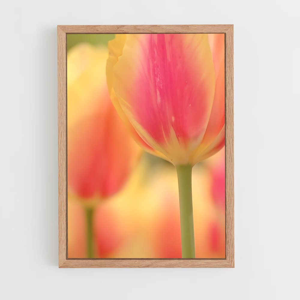 ap-tulip-11 cadre Bois clair