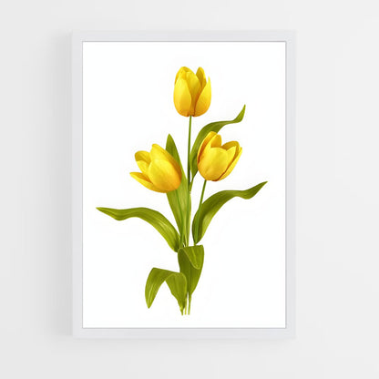 ap-tulip-12 cadre Blanc