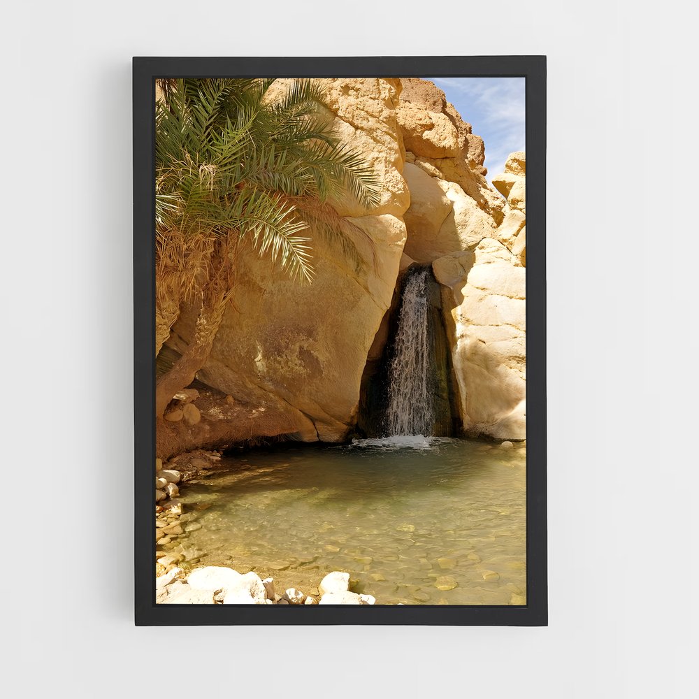 ap-tunisia-6 cadre Noir