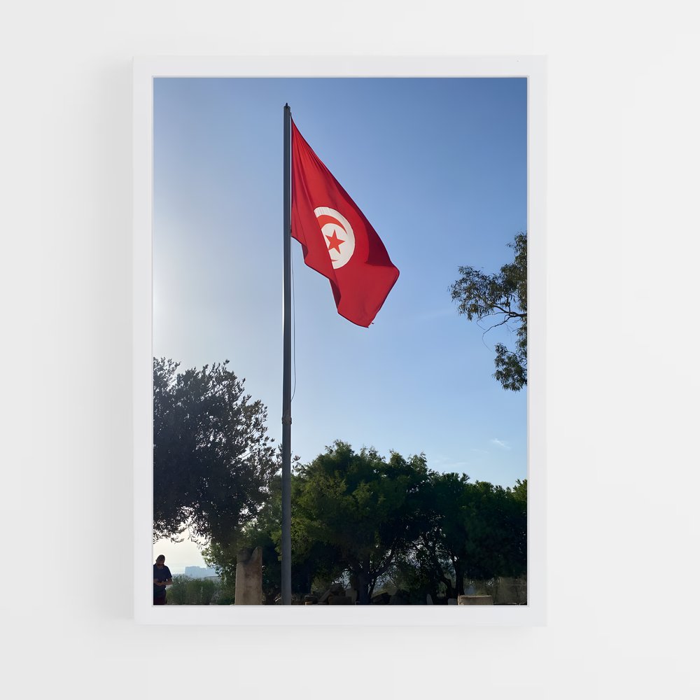 ap-tunisia flag-3 cadre Blanc