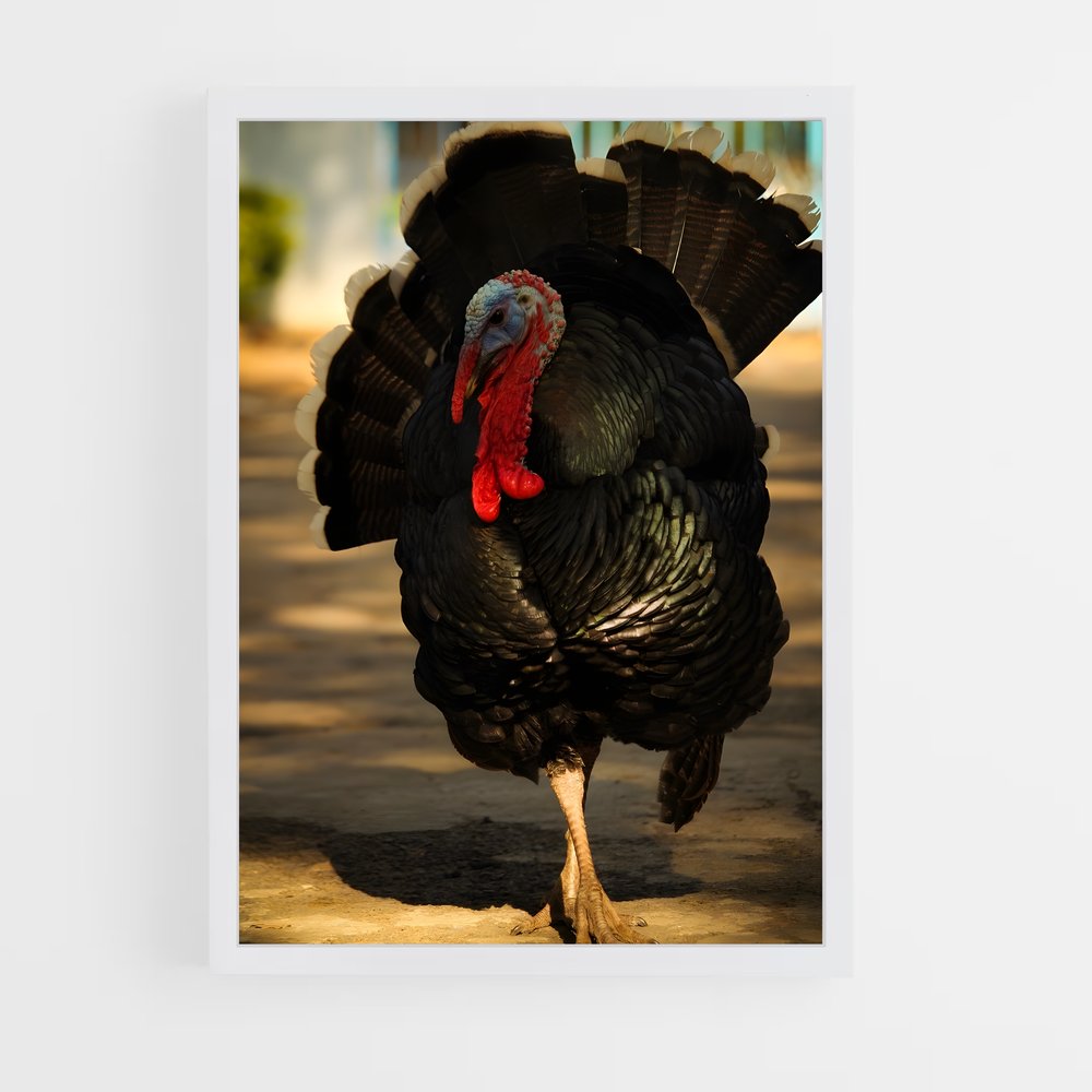 ap-turkey-5 cadre Blanc