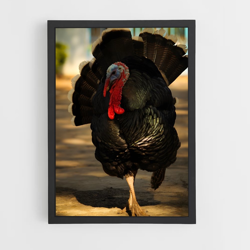 ap-turkey-5 cadre Noir