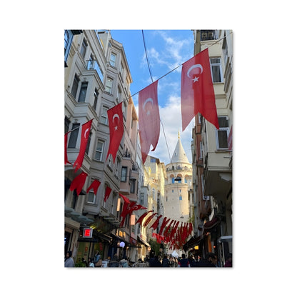 Poster Turkey 89471