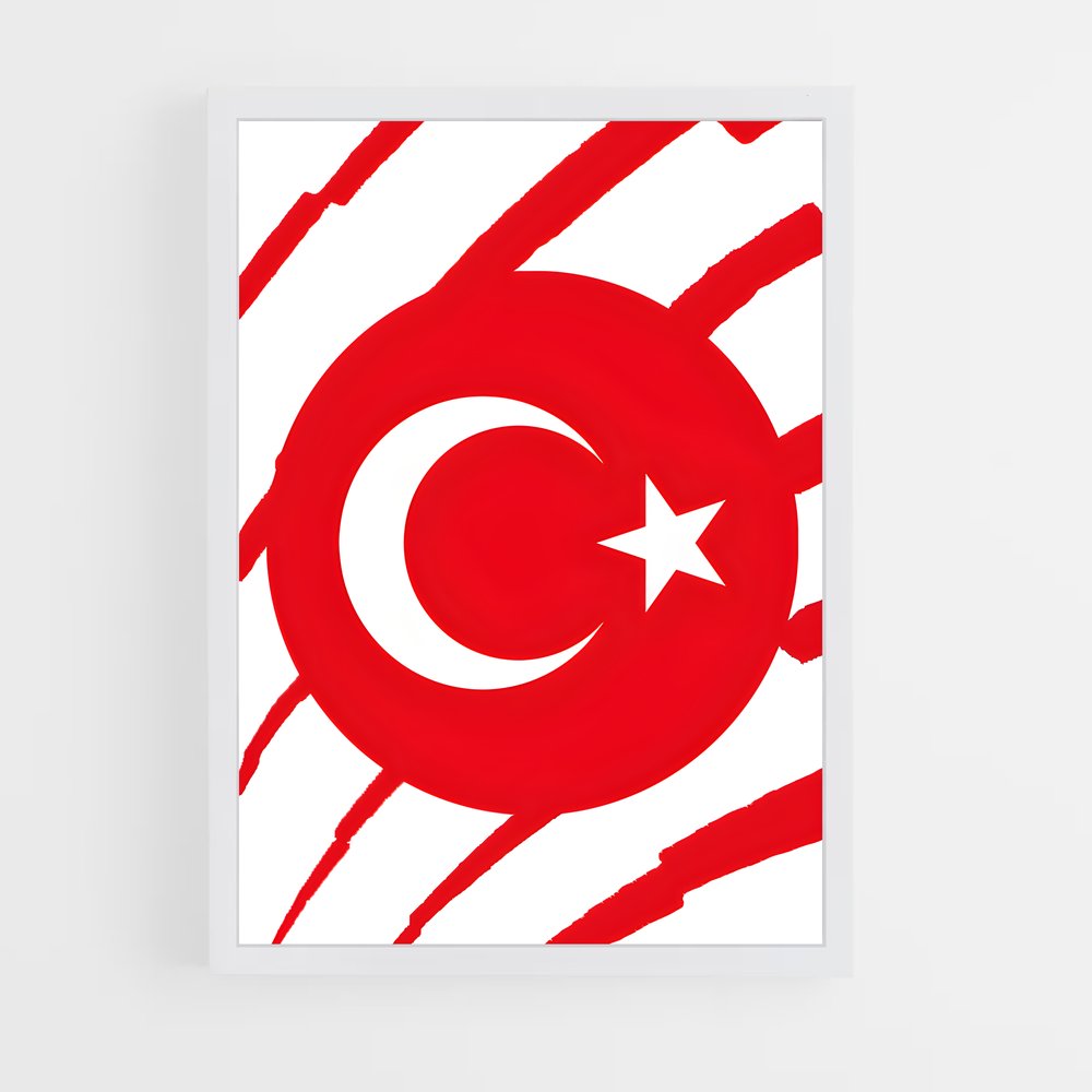 ap-turkey national football team-2 cadre Blanc
