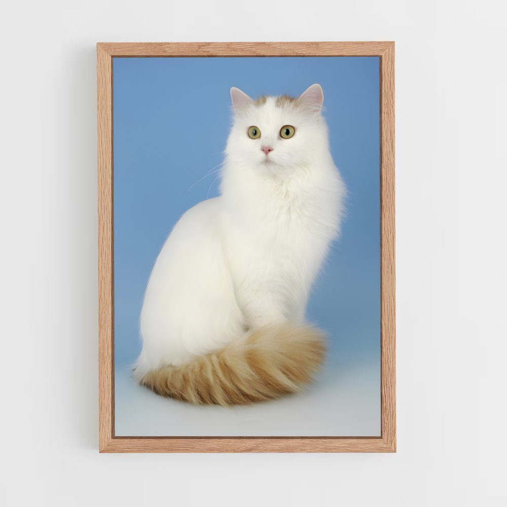 ap-turkish van-2 cadre Bois clair