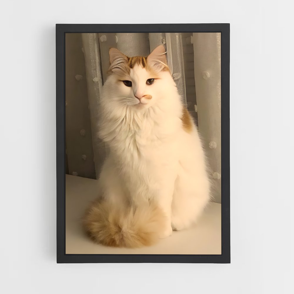 ap-turkish van-4 cadre Noir