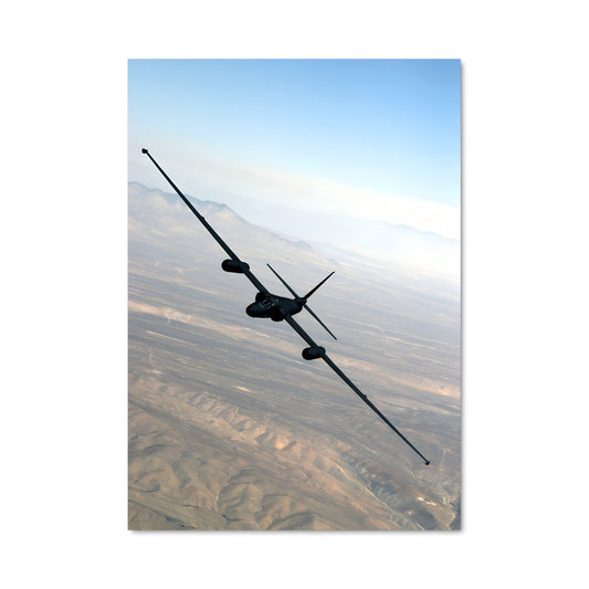 Poster Dragon Lady en Vol