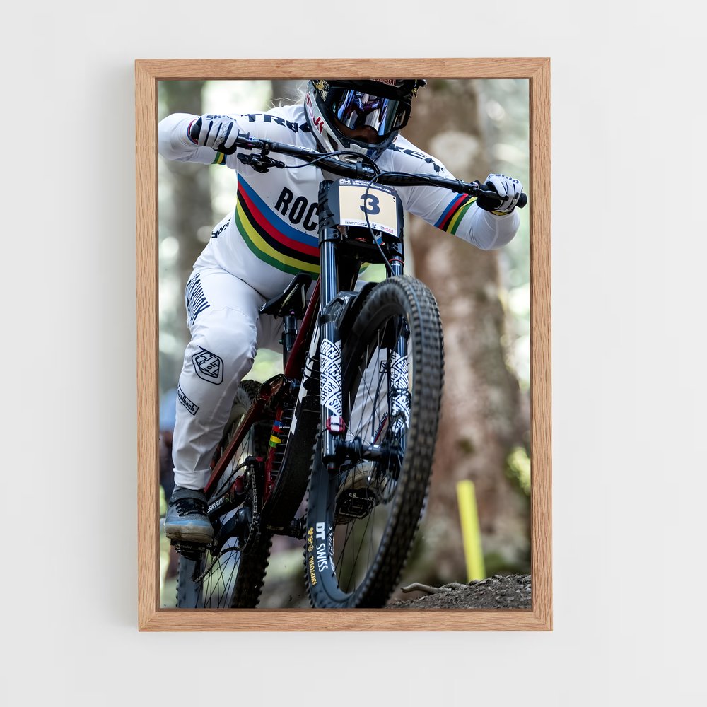 ap-uci mountain bike world championships-1 cadre Bois clair