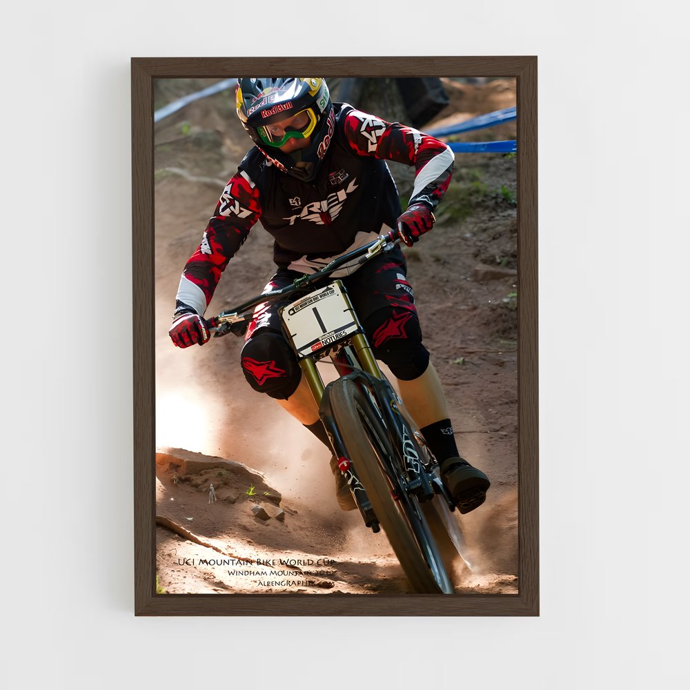 ap-uci mountain bike world cup-1 cadre Bois foncé