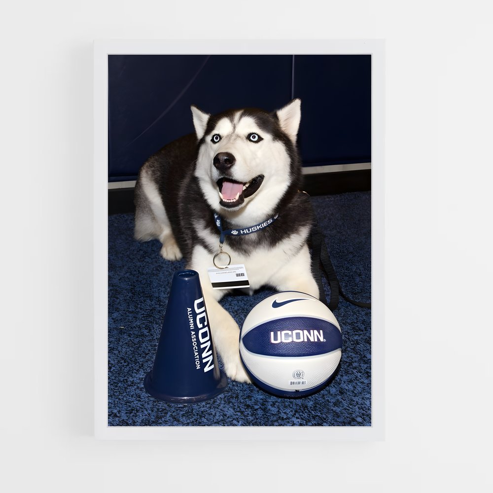 ap-uconn huskies-4 cadre Blanc