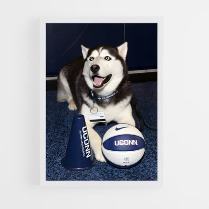 ap-uconn huskies-4 cadre Blanc