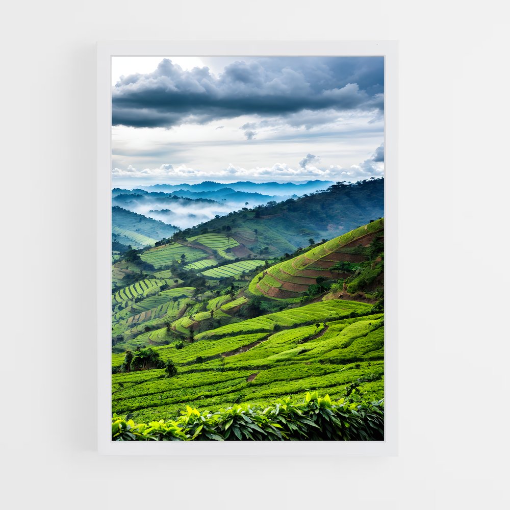 ap-uganda-4 cadre Blanc