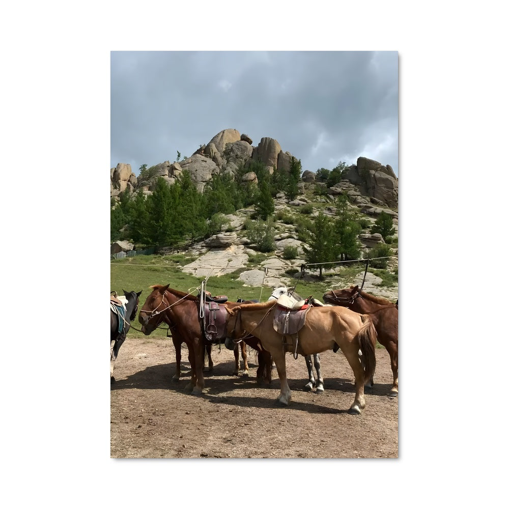 Poster Chevaux de Mongolie