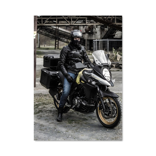 Poster V-strom 650 82772