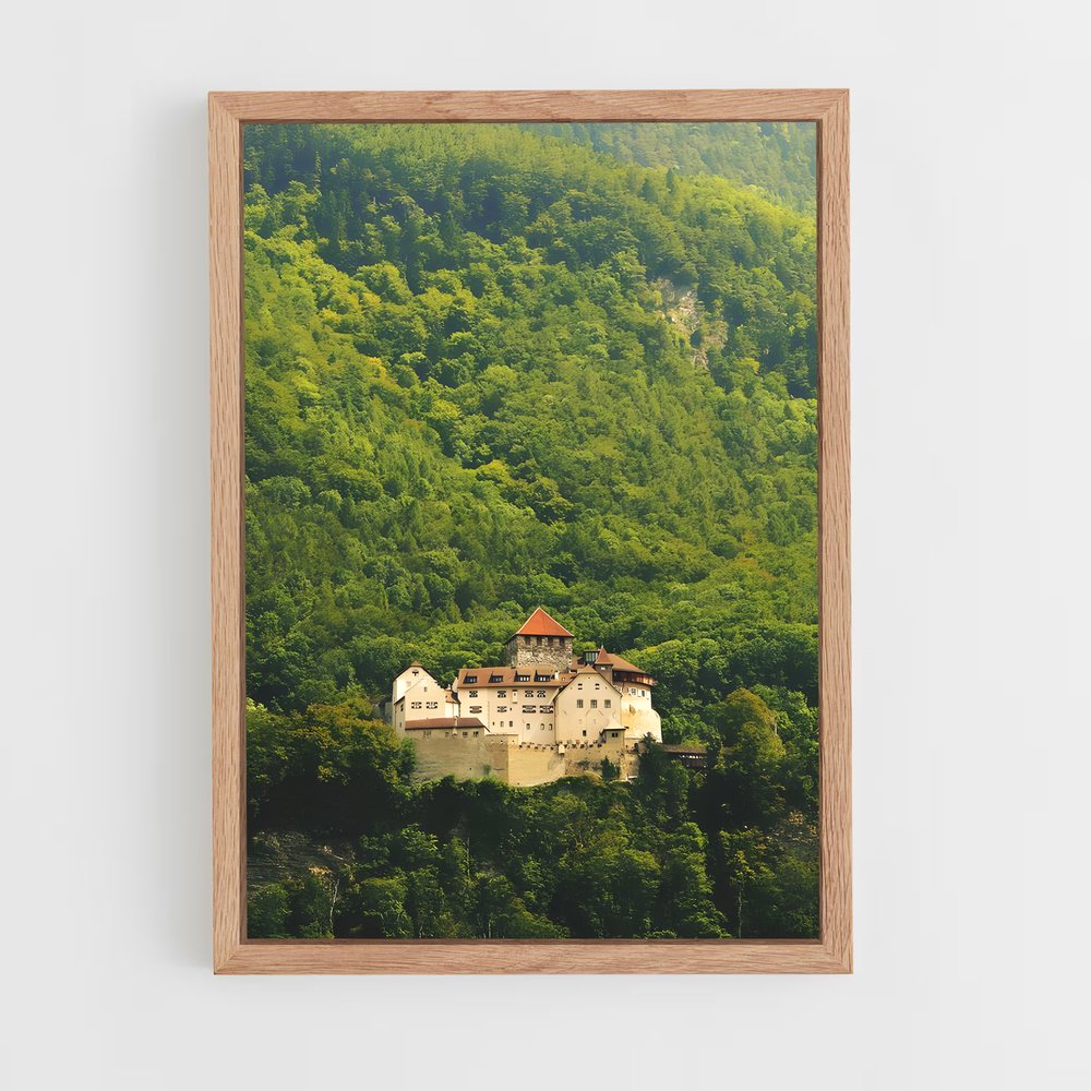 ap-vaduz castle-1 cadre Bois clair