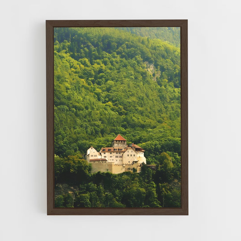 ap-vaduz castle-1 cadre Bois foncé