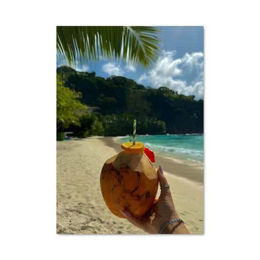 Poster Plage et Coco