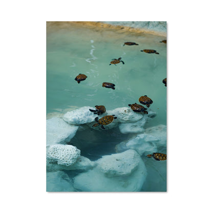 Poster Vanuatu 93676
