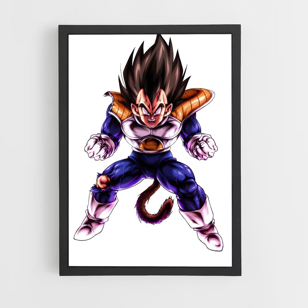 ap-vegeta-15 cadre Noir