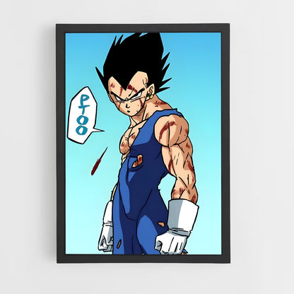ap-vegeta-18 cadre Noir