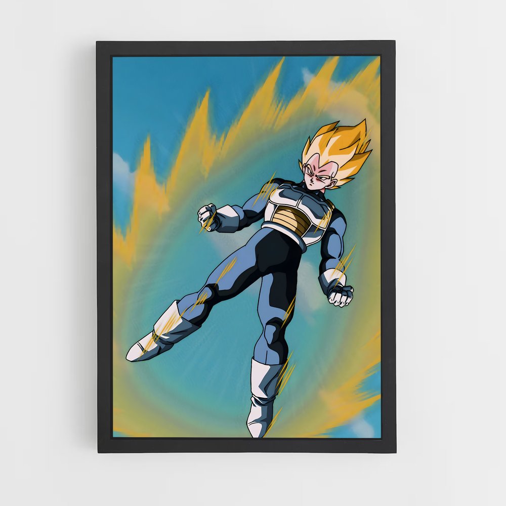 ap-vegeta-20 cadre Noir