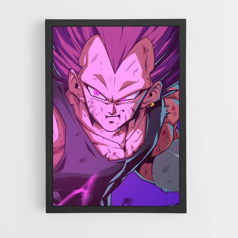 ap-vegeta-21 cadre Noir
