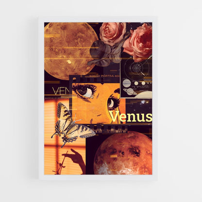 ap-venus-16 cadre Blanc