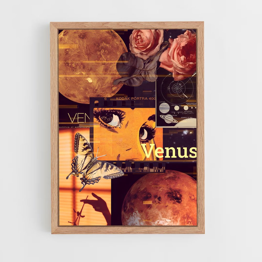 ap-venus-16 cadre Bois clair