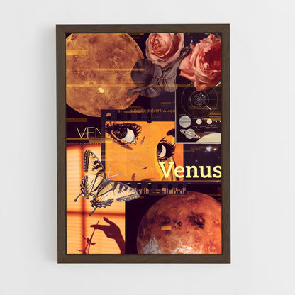 ap-venus-16 cadre Bois foncé