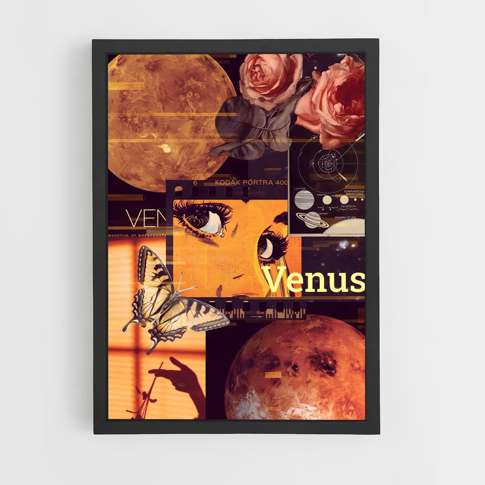 ap-venus-16 cadre Noir